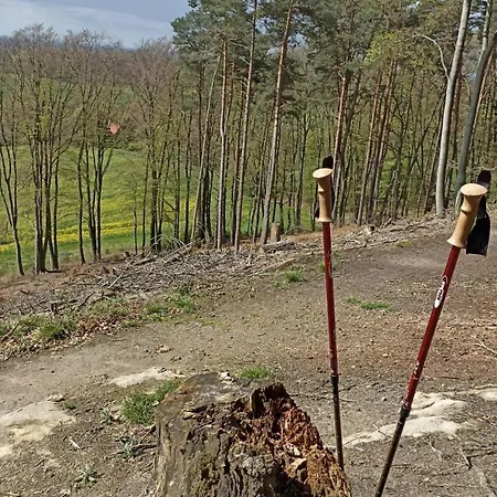 Teutoblick Apartmán *