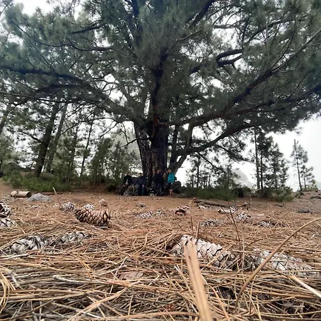 Teutoblick Apartmán