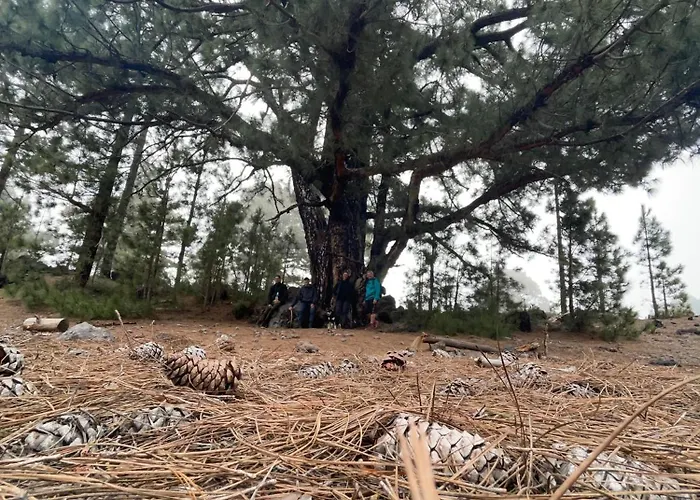 Teutoblick Apartmán